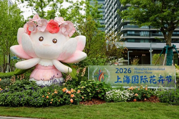 明起徐汇将变“花花世界”，8组市民将花园造到黄浦江边，还有骑行打卡与市集