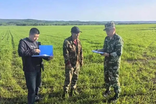 阳光财险：沃野铺绿风正暖 一缕“阳光”护粮安
