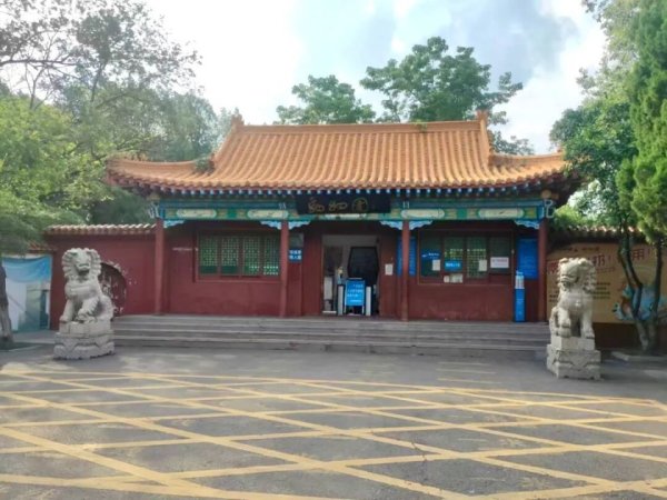 狼像狗一样“作揖”讨食，游客质疑狼挨饿，动物园：是正常互动