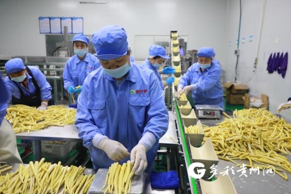 贵州竹梦食品深耕全产业链 让生态好笋走向广阔市场