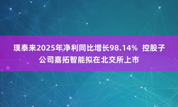璞泰来2025年净利同比增长98.14%  控股子公司嘉拓智能拟在北交所上市