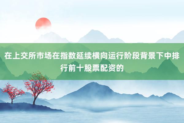 在上交所市场在指数延续横向运行阶段背景下中排行前十股票配资的