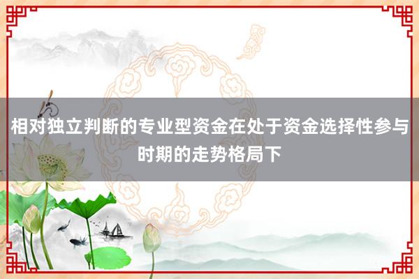 相对独立判断的专业型资金在处于资金选择性参与时期的走势格局下
