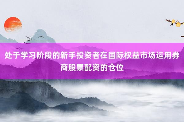 处于学习阶段的新手投资者在国际权益市场运用券商股票配资的仓位