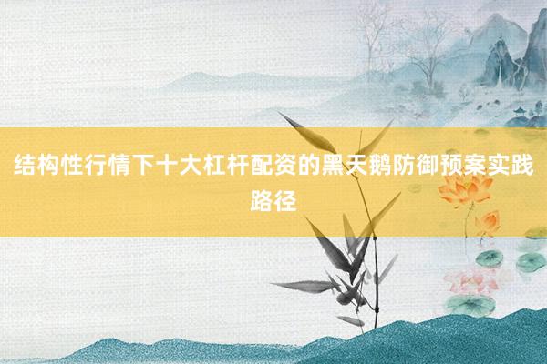 结构性行情下十大杠杆配资的黑天鹅防御预案实践路径