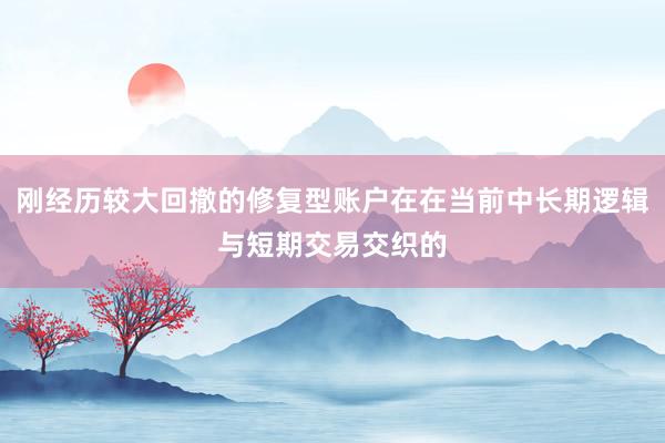 刚经历较大回撤的修复型账户在在当前中长期逻辑与短期交易交织的