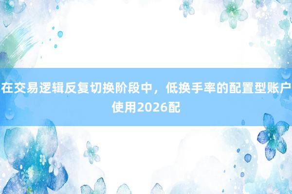 在交易逻辑反复切换阶段中，低换手率的配置型账户使用2026配
