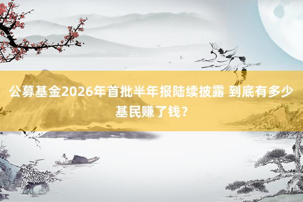 公募基金2026年首批半年报陆续披露 到底有多少基民赚了钱？