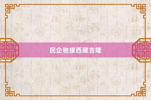 民企驰援西藏吉隆
