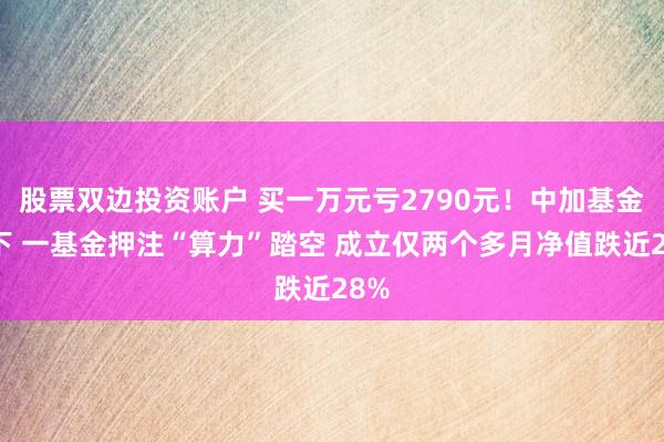 股票双边投资账户 买一万元亏2790元！中加基金旗下 一基金押注“算力”踏空 成立仅两个多月净值跌近28%
