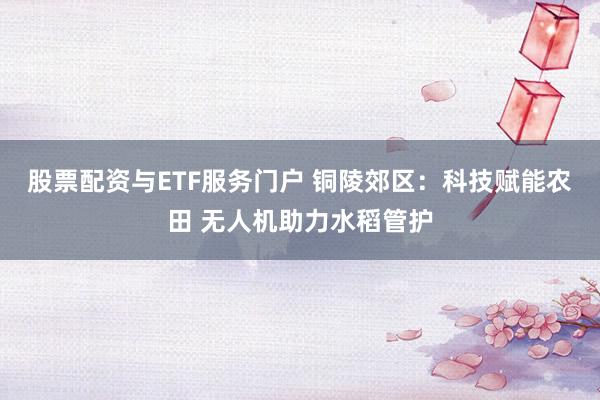 股票配资与ETF服务门户 铜陵郊区：科技赋能农田 无人机助力水稻管护
