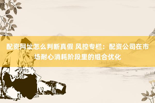 配资网址怎么判断真假 风控专栏：配资公司在市场耐心消耗阶段里的组合优化