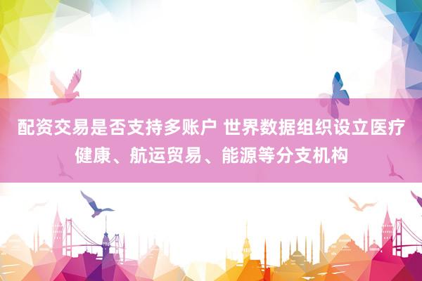 配资交易是否支持多账户 世界数据组织设立医疗健康、航运贸易、能源等分支机构