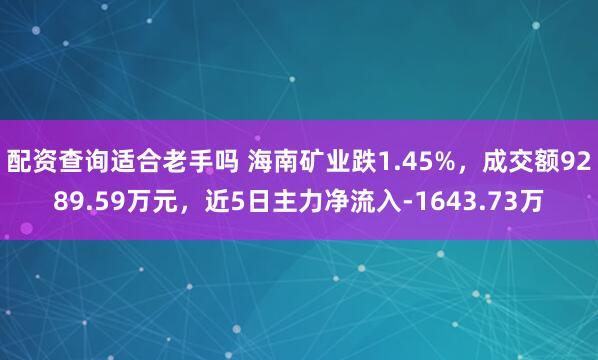 配资查询适合老手吗 海南矿业跌1.45%，成交额9289.59万元，近5日主力净流入-1643.73万