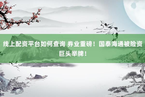 线上配资平台如何查询 券业重磅！国泰海通被险资巨头举牌！