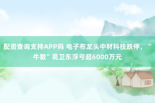 配资查询支持APP吗 电子布龙头中材科技跌停，“牛散”葛卫东浮亏超6000万元