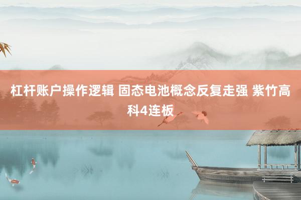 杠杆账户操作逻辑 固态电池概念反复走强 紫竹高科4连板